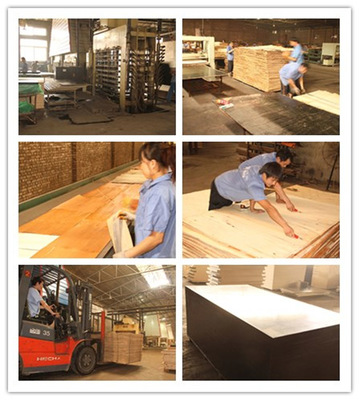 内蒙古哪里建筑模板好18202687079_建筑建材_世界工厂网